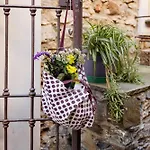 Residenza Stoechas * Albenga